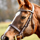 The Rowan Hunter Bridle - Auven Equestrian - Equiluxe Tack