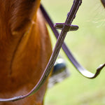 The Rowan Hunter Bridle - Auven Equestrian - Equiluxe Tack