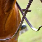 The Rowan Hunter Bridle - Auven Equestrian - Equiluxe Tack