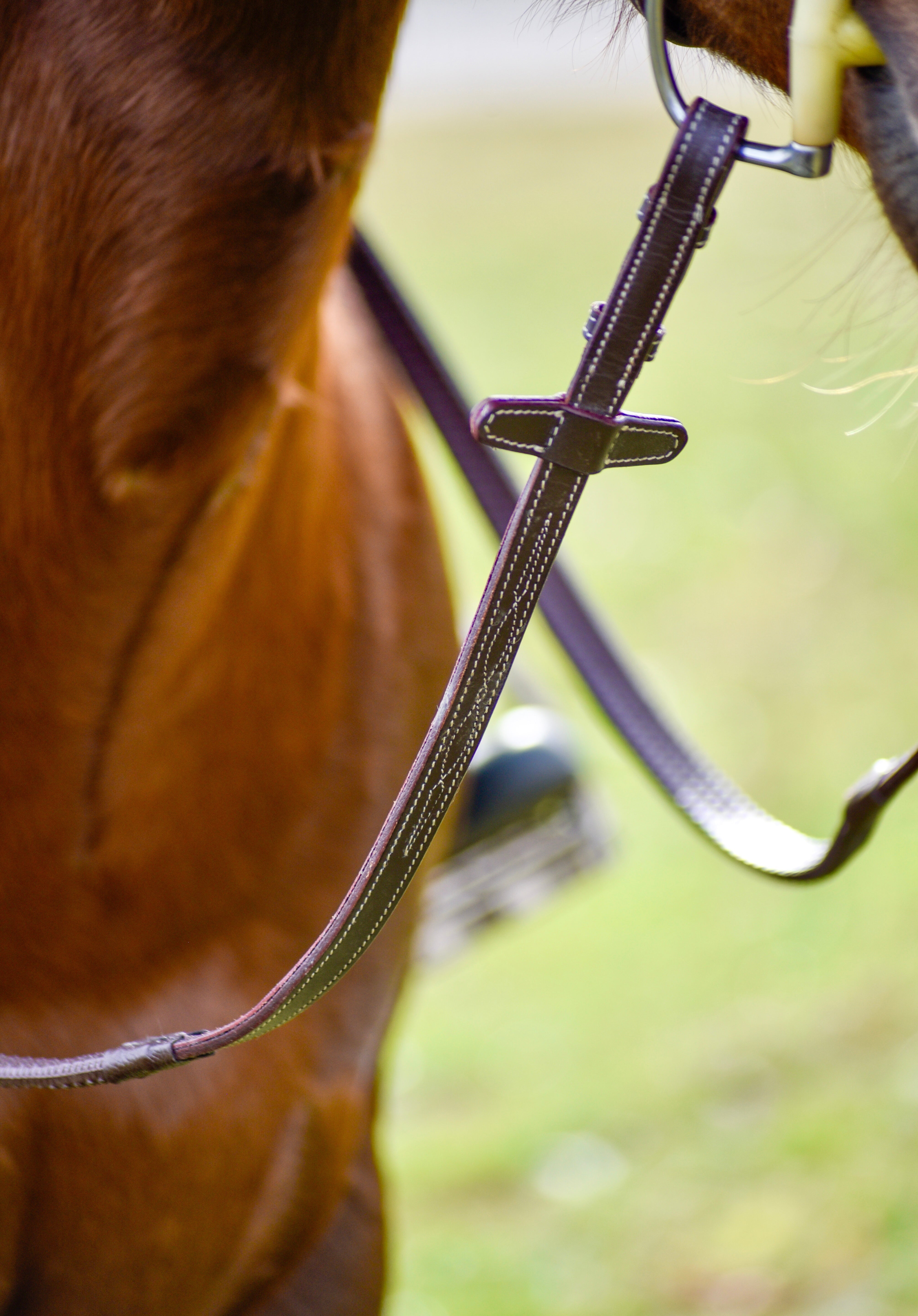 The Rowan Hunter Bridle - Auven Equestrian - Equiluxe Tack