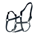 The Trifecta Halter: Rope, Nylon, Breakaway - Auven Equestrian - Equiluxe Tack