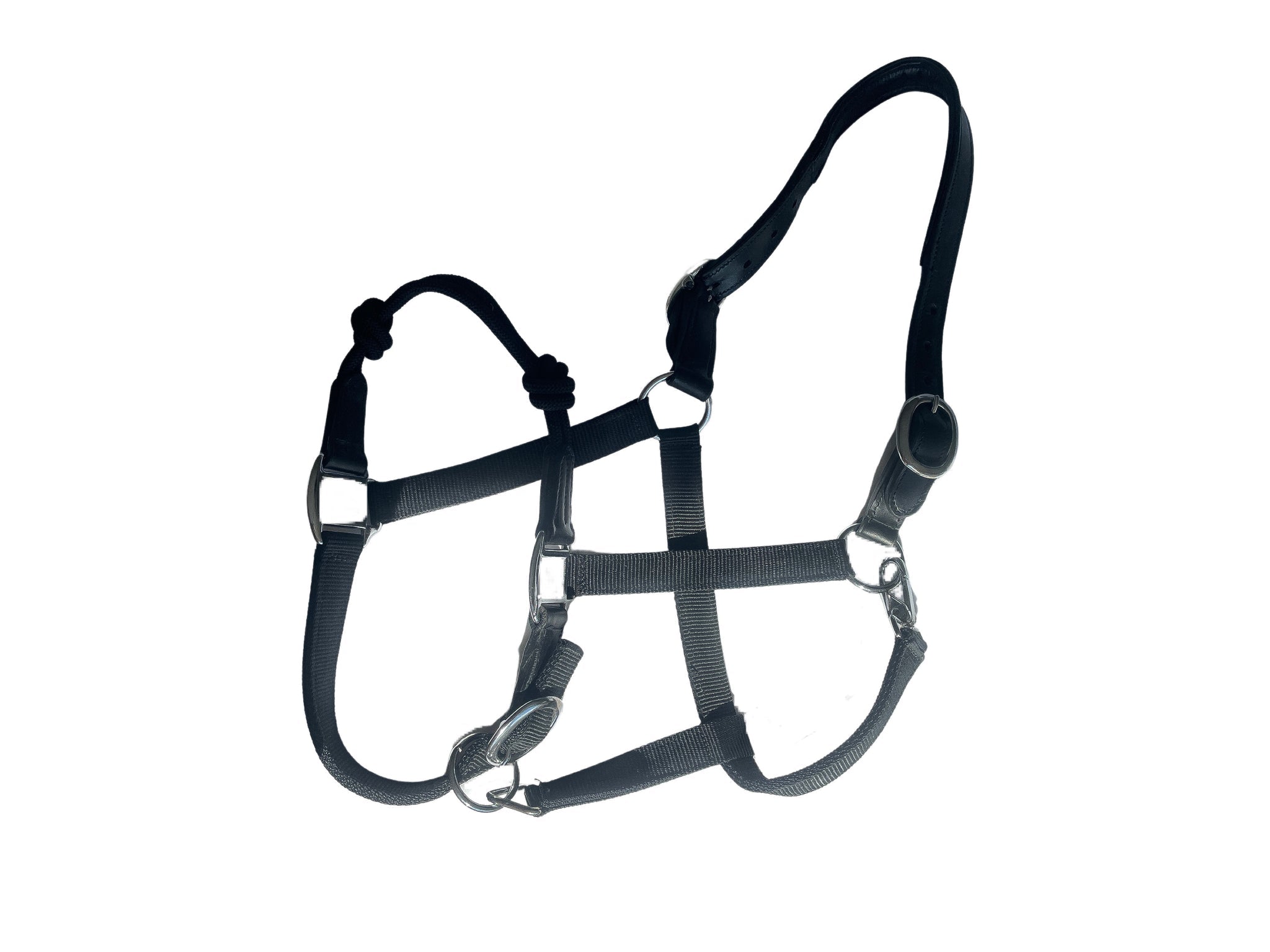 The Trifecta Halter: Rope, Nylon, Breakaway - Auven Equestrian - Equiluxe Tack