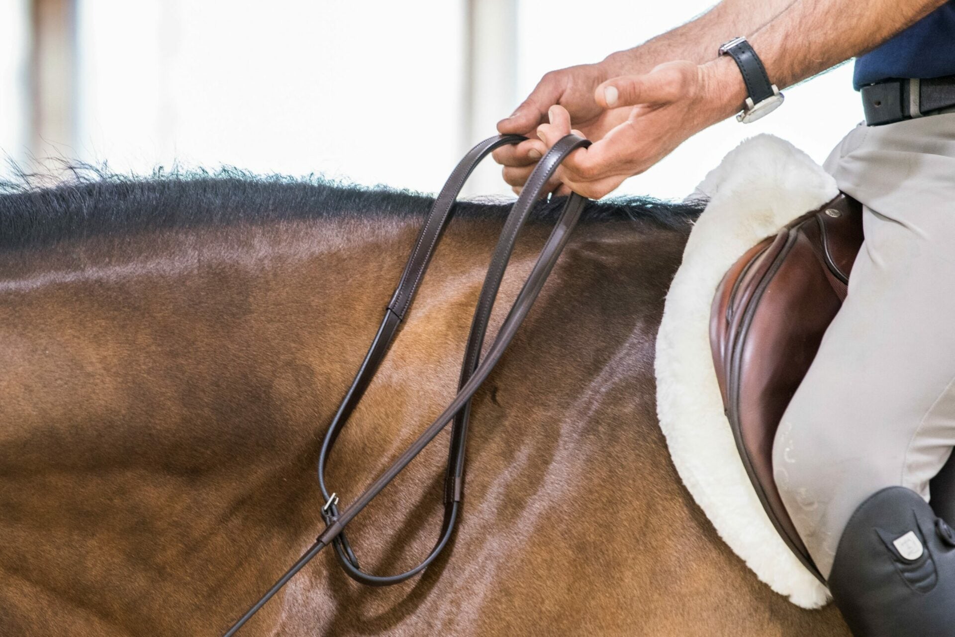 ThinLine Lined English Reins - Equiluxe Tack - Equiluxe Tack