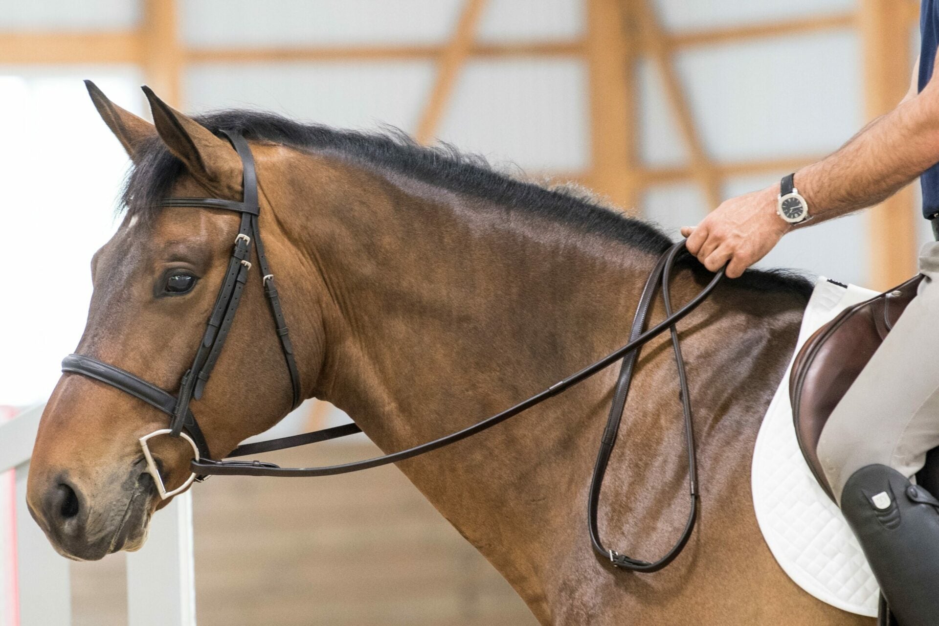 ThinLine Lined English Reins - Equiluxe Tack - Equiluxe Tack