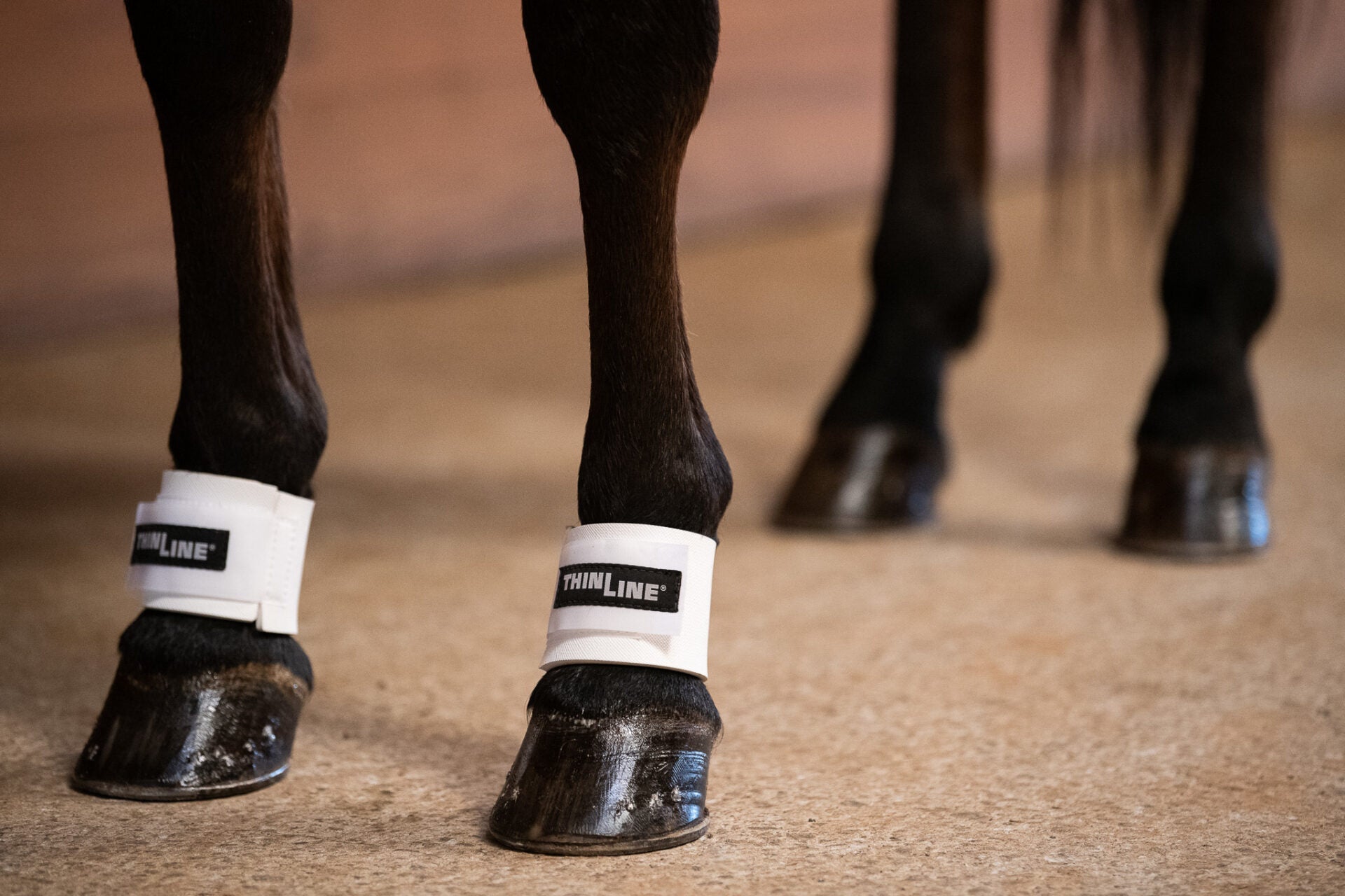 ThinLine Pastern Wraps - Equiluxe Tack - Equiluxe Tack