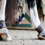 ThinLine Pastern Wraps - Equiluxe Tack - Equiluxe Tack