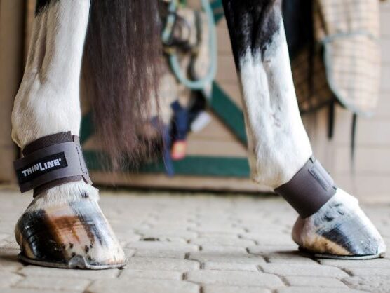 ThinLine Pastern Wraps - Equiluxe Tack - Equiluxe Tack