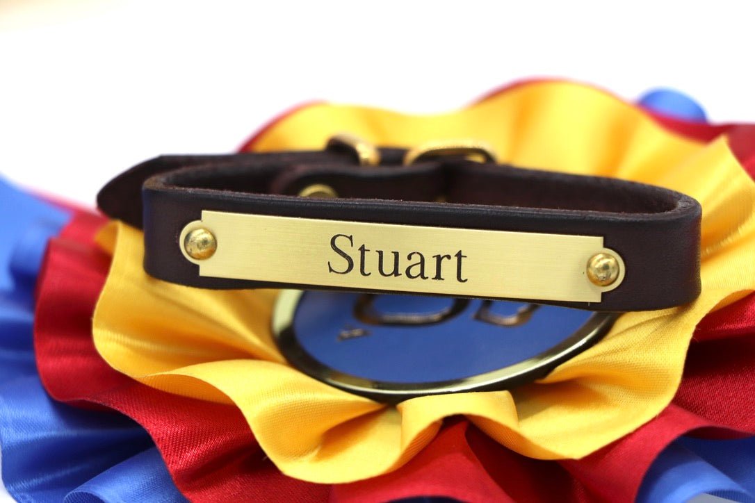 Toddler Sized Pony Bracelet - Remarkable Leather Goods - Equiluxe Tack