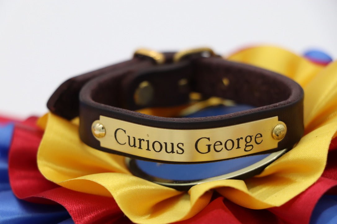 Toddler Sized Pony Bracelet - Remarkable Leather Goods - Equiluxe Tack