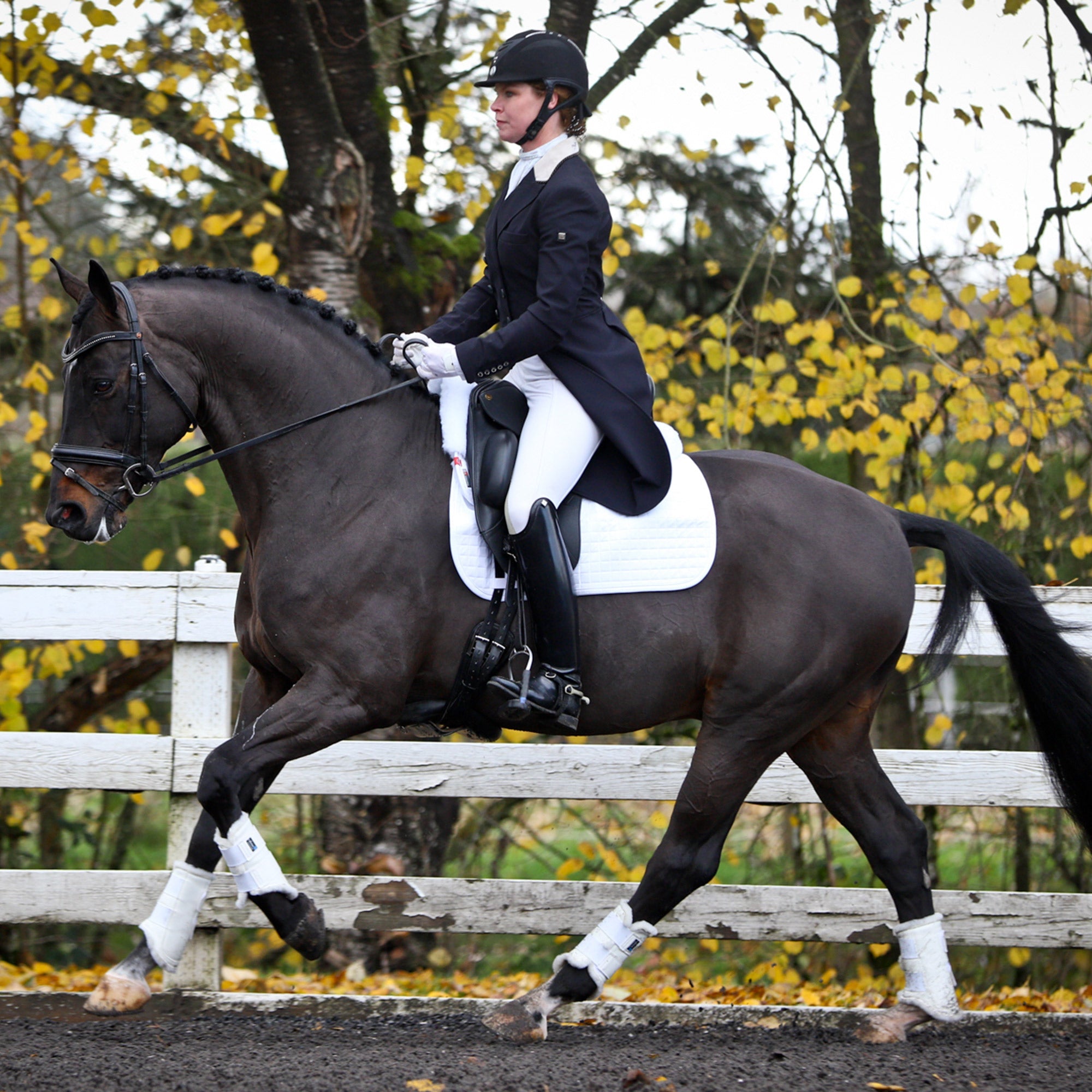 Valena Hind Boots - Valena - Equiluxe Tack