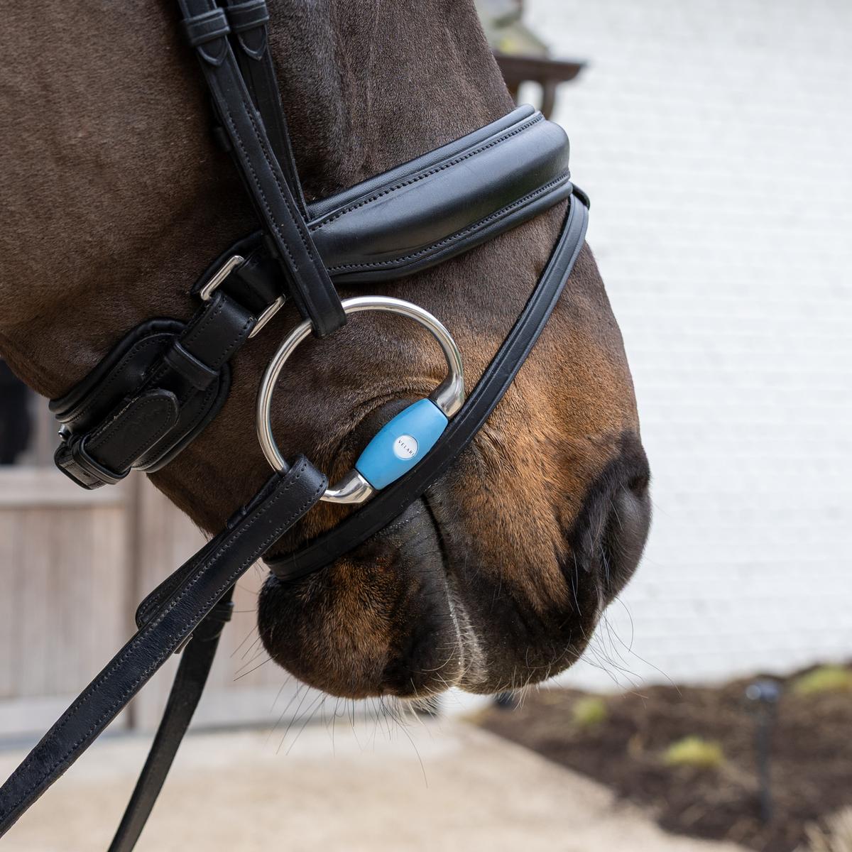 Velari Eggbutt Flex Medium - Velari - Equiluxe Tack
