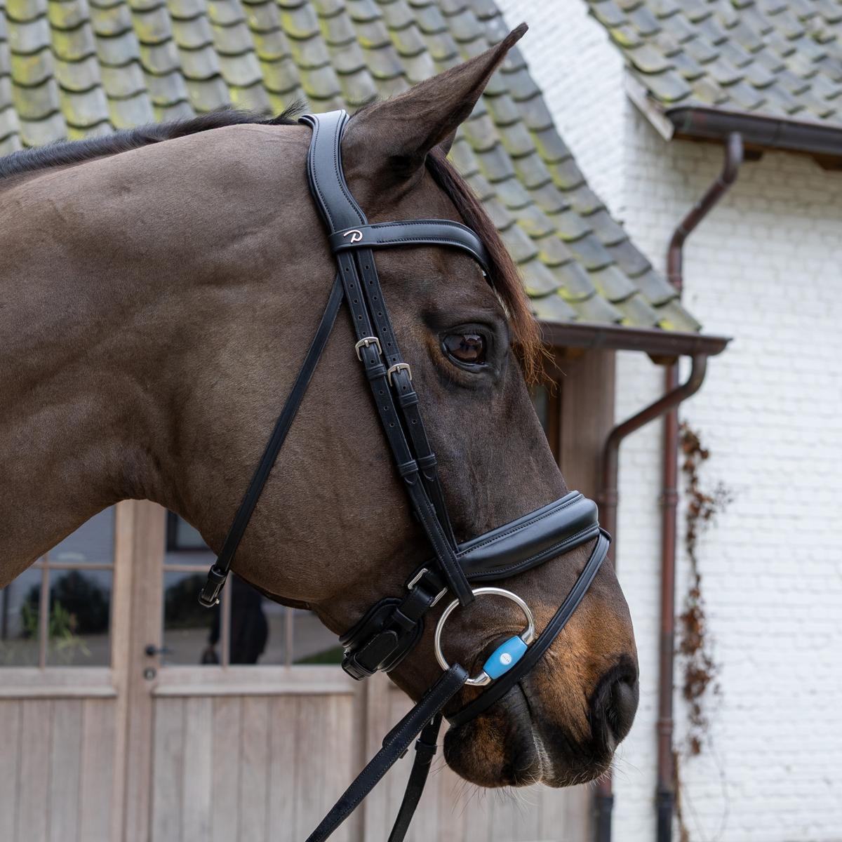 Velari Eggbutt Flex Medium - Velari - Equiluxe Tack