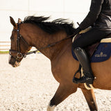 Velari Spurs Stainless Steel with Rubber Large Wheel Rowell - Velari - Equiluxe Tack