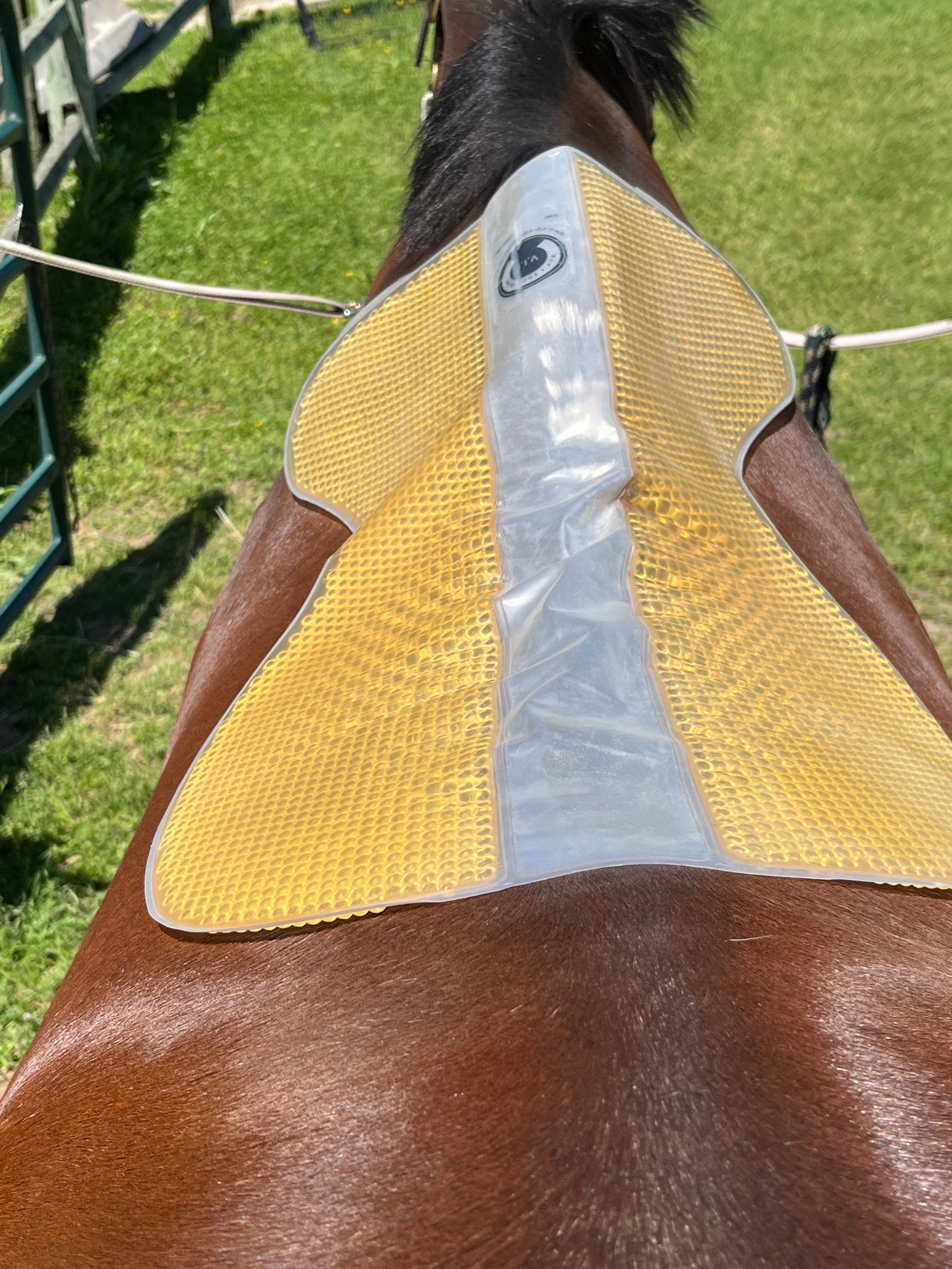 VIP Saddle Pad - CorrectConnect - Equiluxe Tack