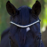 Wave Snap Browband with Clear Rivet Crystals - Halter Ego® - Equiluxe Tack