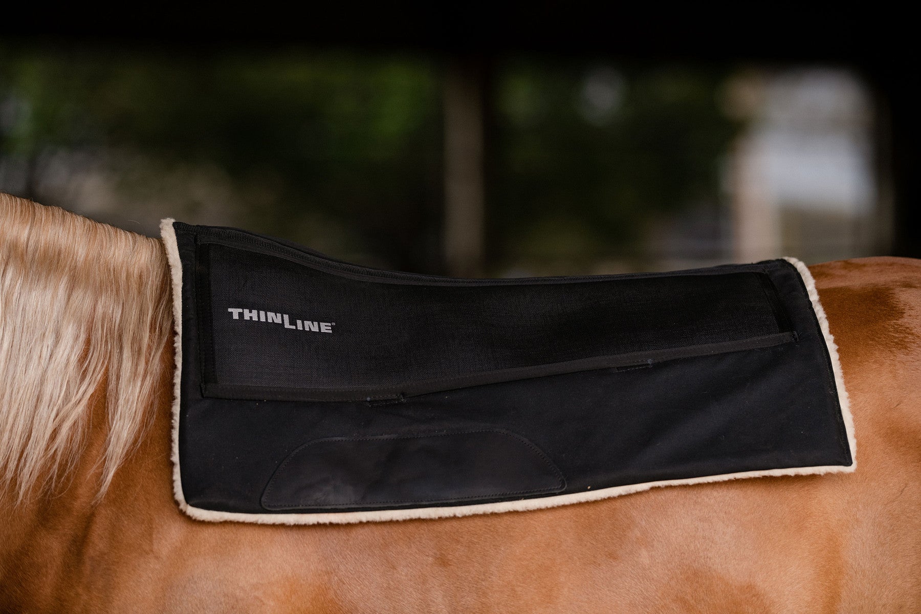 Wax Tough Rider Western Saddle Pad Square - Equiluxe Tack - Equiluxe Tack