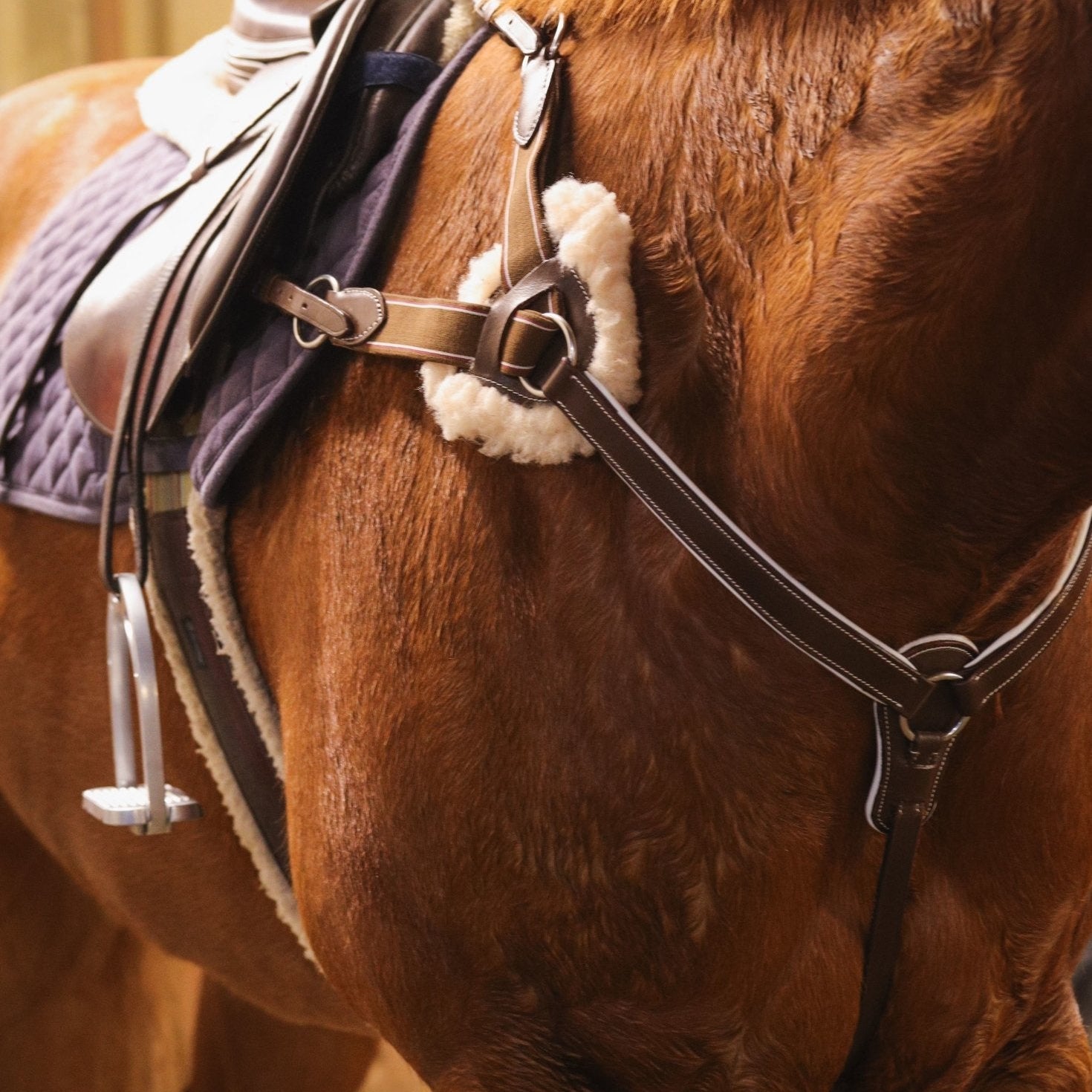 White Padding 5-Point Breastplate - Equiluxe Tack