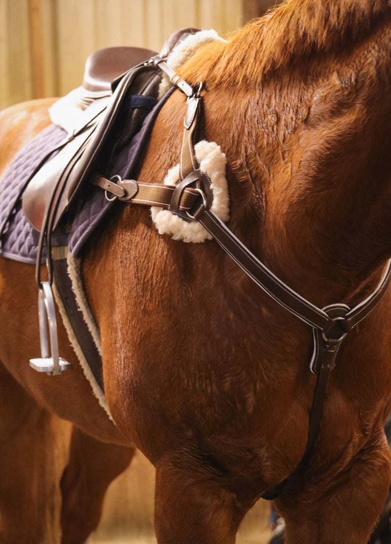 White Padding 5-Point Breastplate - Equiluxe Tack