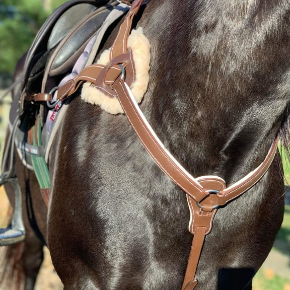 White Padding 5-Point Breastplate - Equiluxe Tack