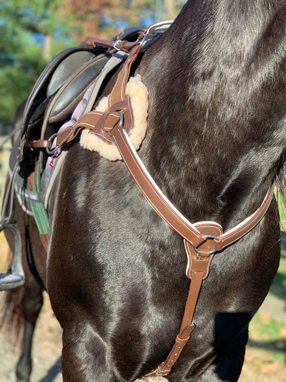 White Padding 5-Point Breastplate - Equiluxe Tack