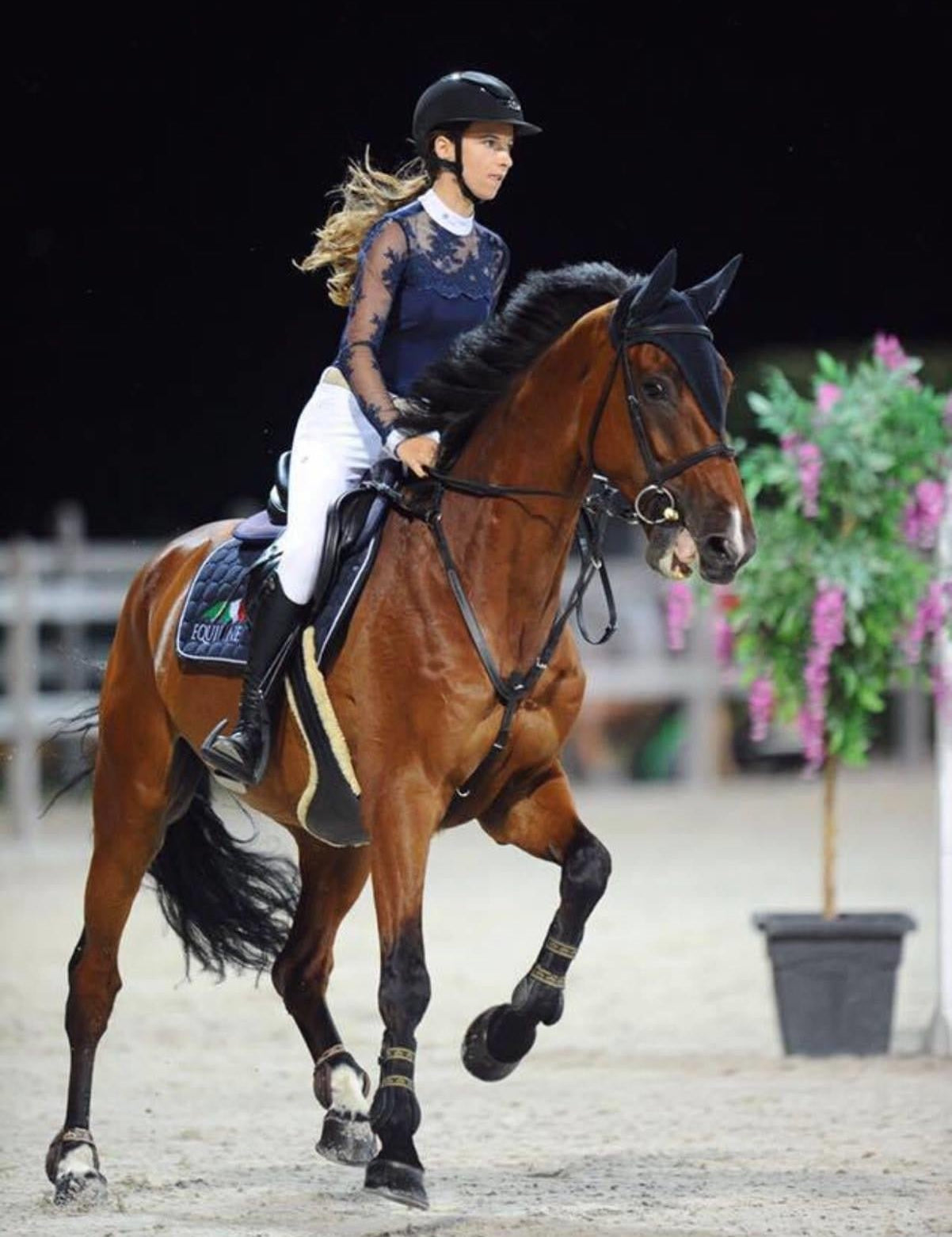 Women's Equestrian Show Shirt Navy Blue DAISY Design By Dalia - Equiluxe Tack - Equiluxe Tack
