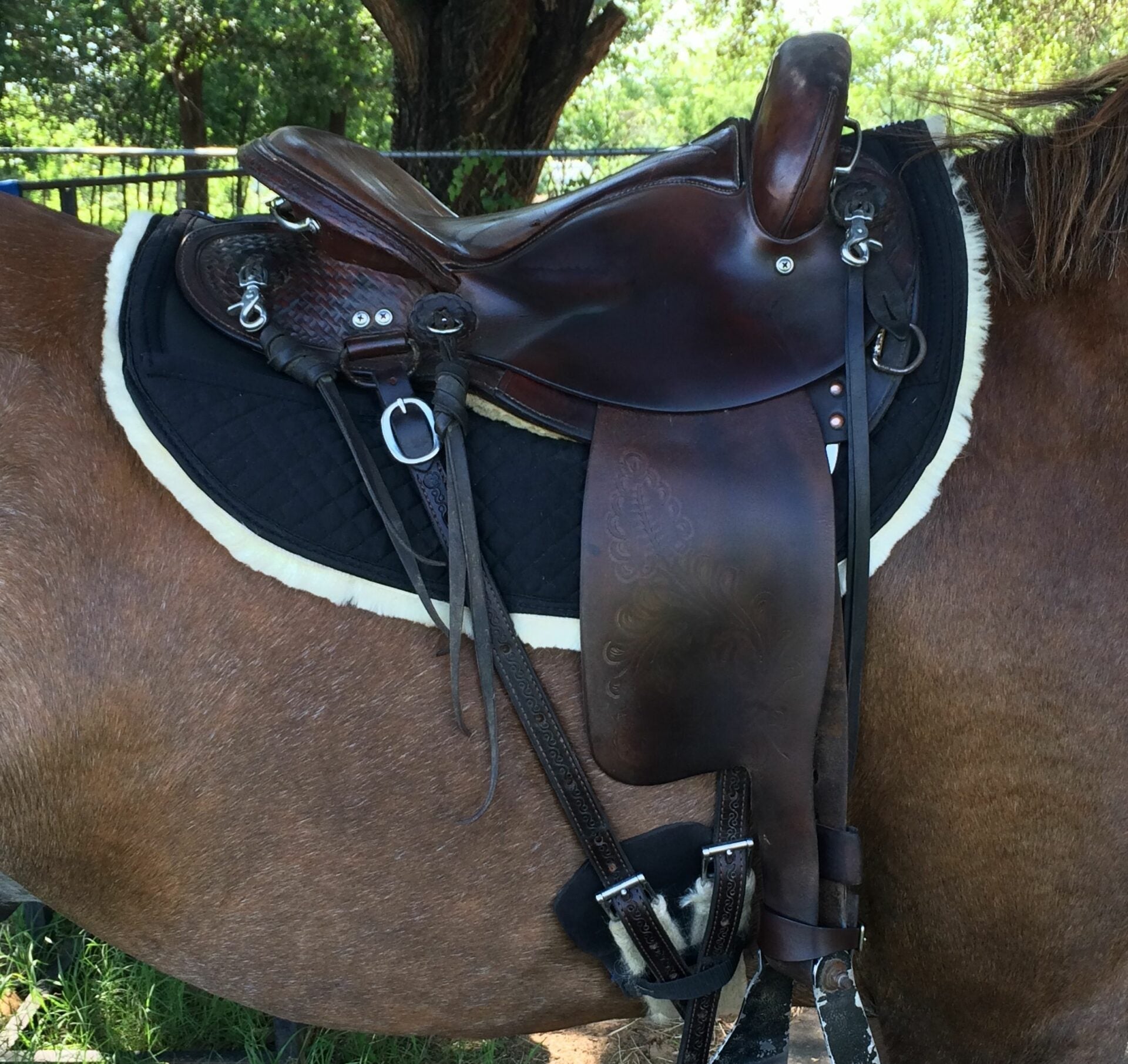 Woven Wool Round Skirt Saddle Pad - Equiluxe Tack - Equiluxe Tack