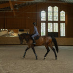 Yagya Compression Pull - On Breeches Slate Blue - Yagya - Equiluxe Tack
