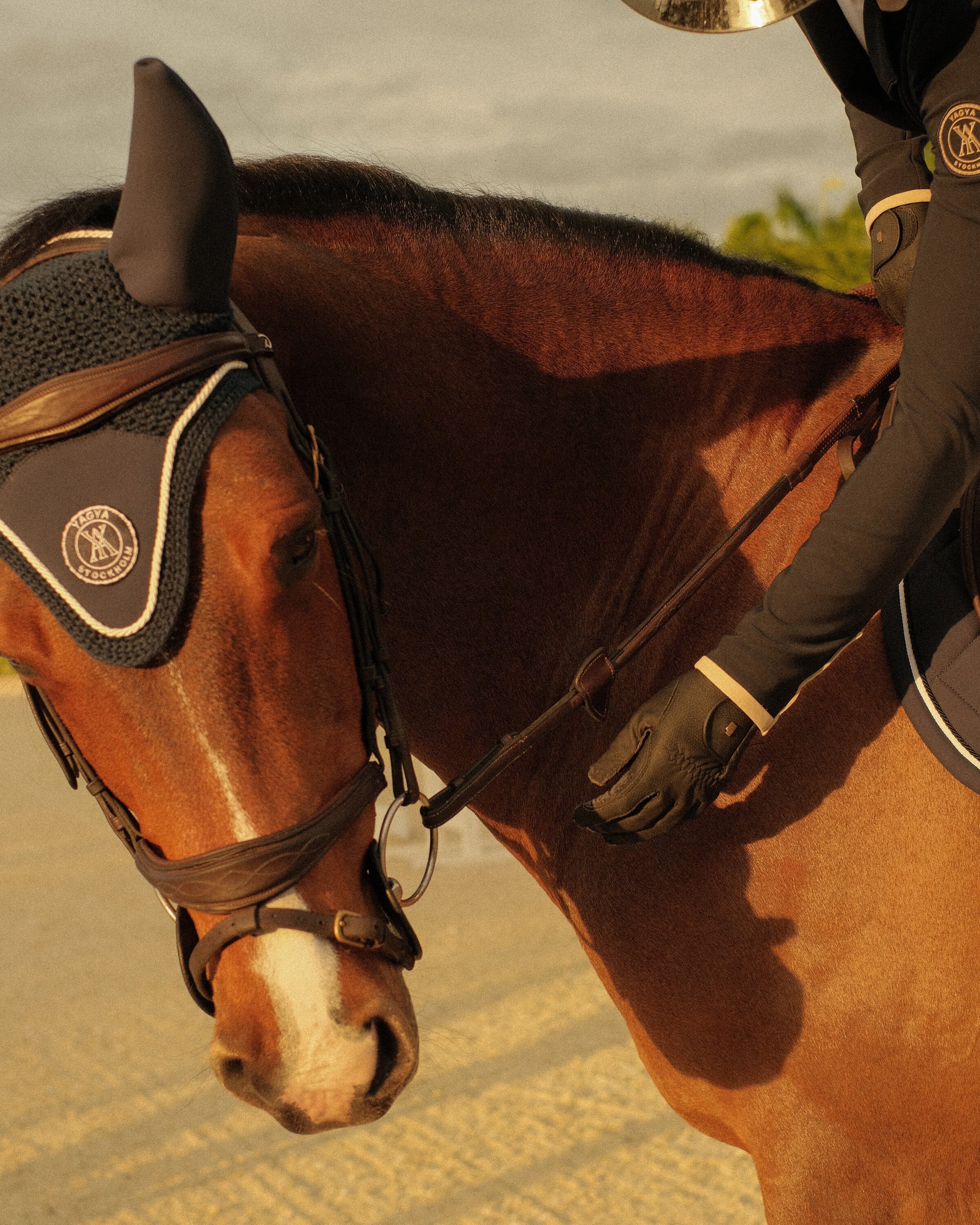 Yagya Performance Horse Bonnet Navy - Yagya - Equiluxe Tack