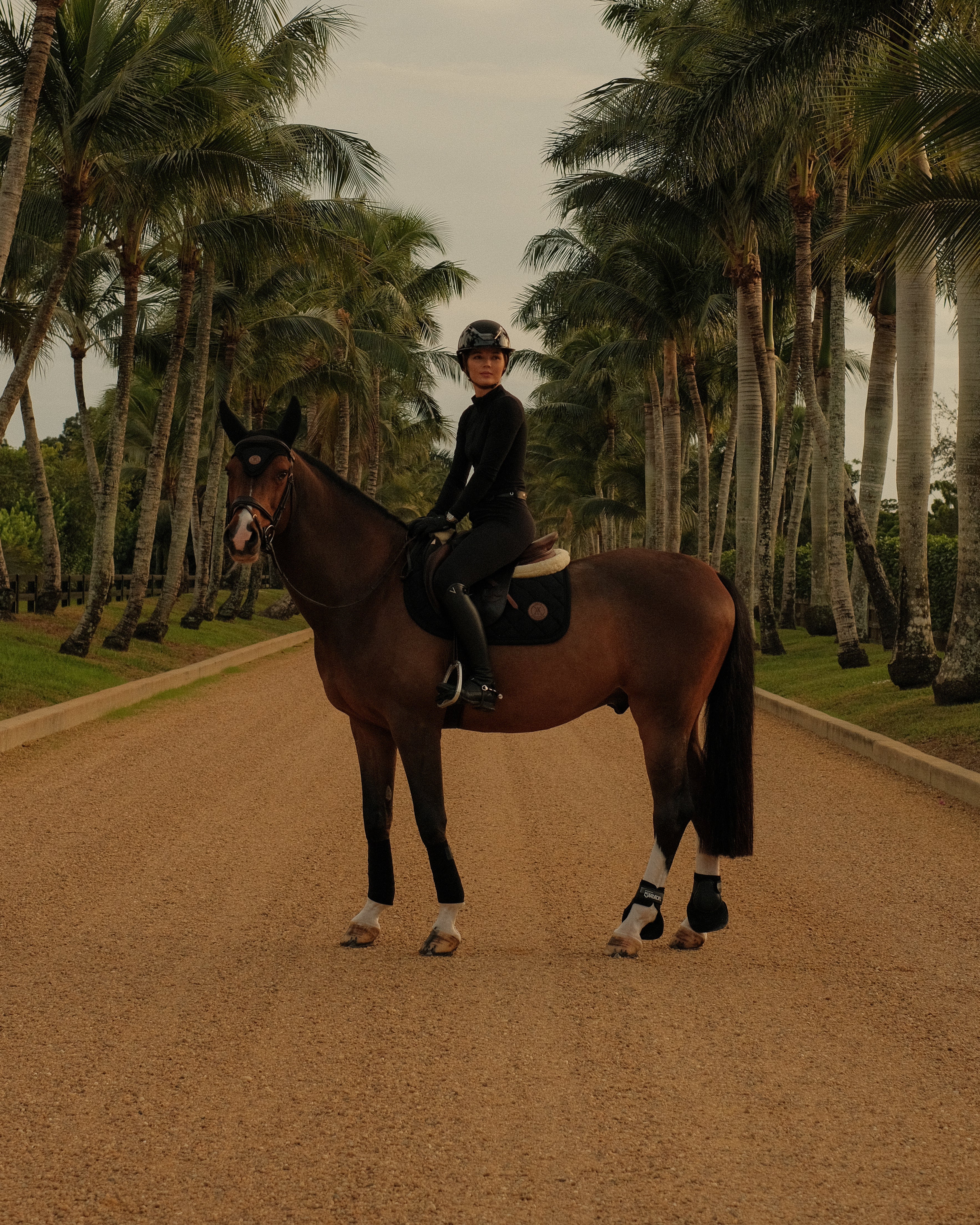 Yagya Performance Saddle Pad Black - Yagya - Equiluxe Tack
