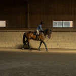 Yagya Performance Show Jacket - Slate Blue - Yagya - Equiluxe Tack