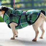 FITS All Weather Dog Coat