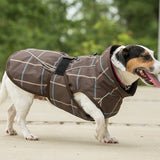 FITS All Weather Dog Coat