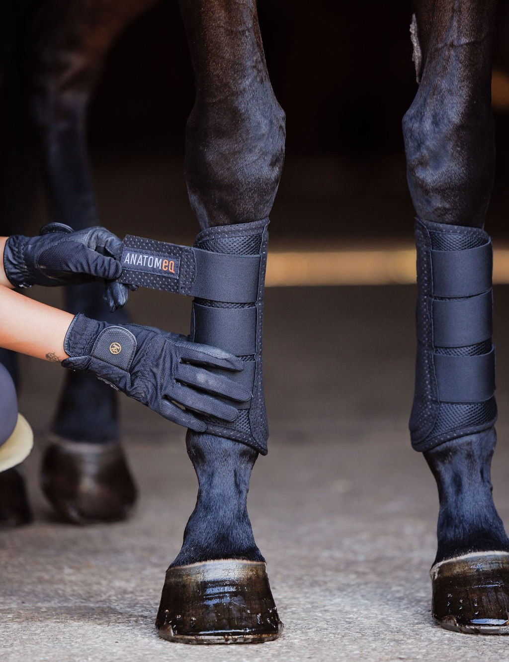 AirGuard Brush Boots - Ultra Air Flow & Comfort - Anatomeq - Equiluxe Tack