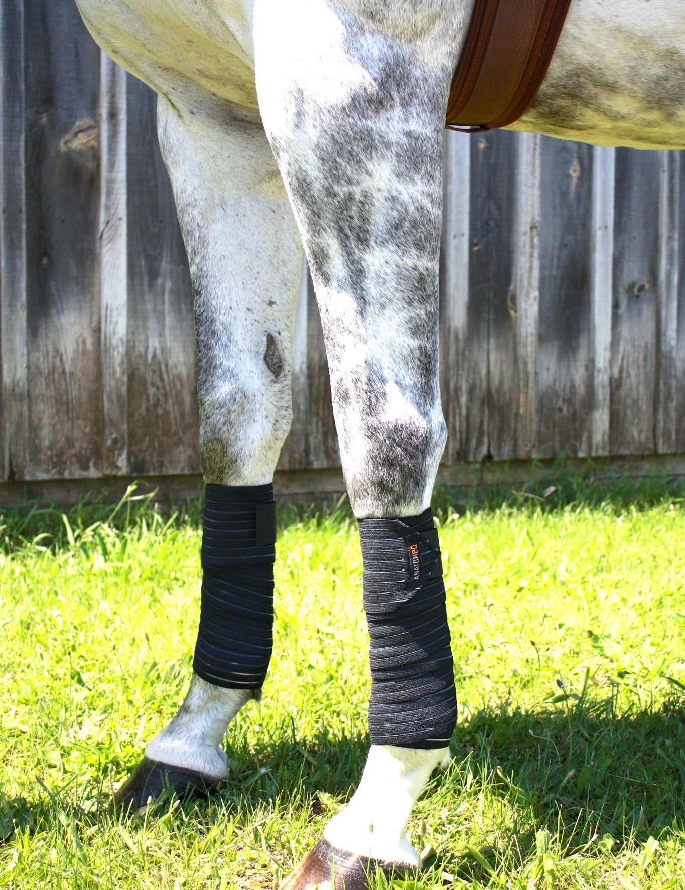 Anatomeq AirSupport Polos - Ultra Breathable - Anatomeq - Equiluxe Tack