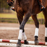 Anatomeq CoolSupport Combi Polos for Sensitive Horses - Equiluxe Tack