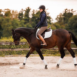 Anatomeq CoolSupport Combi Polos for Sensitive Horses - Equiluxe Tack
