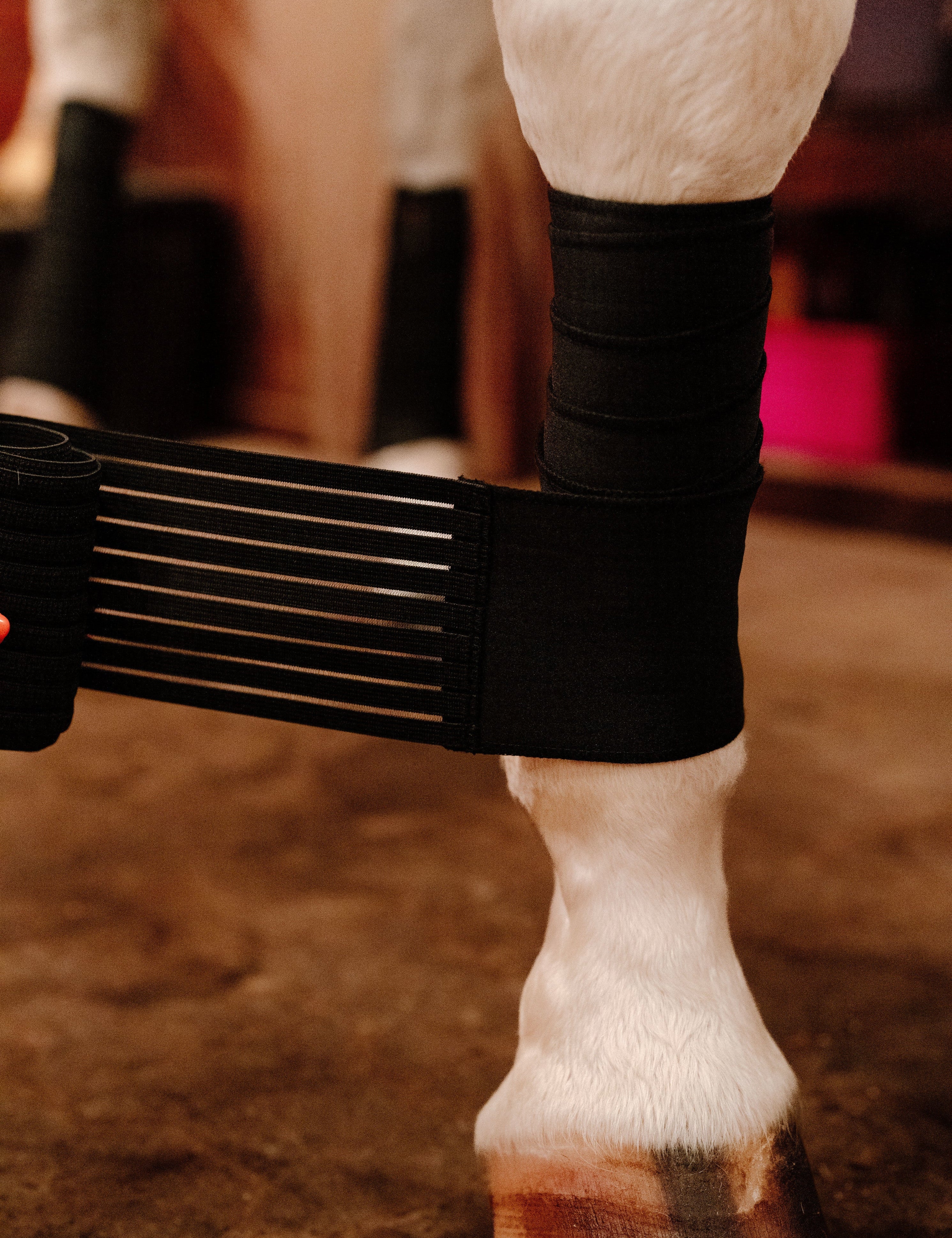 Anatomeq CoolSupport Combi Polos for Sensitive Horses - Anatomeq - Equiluxe Tack