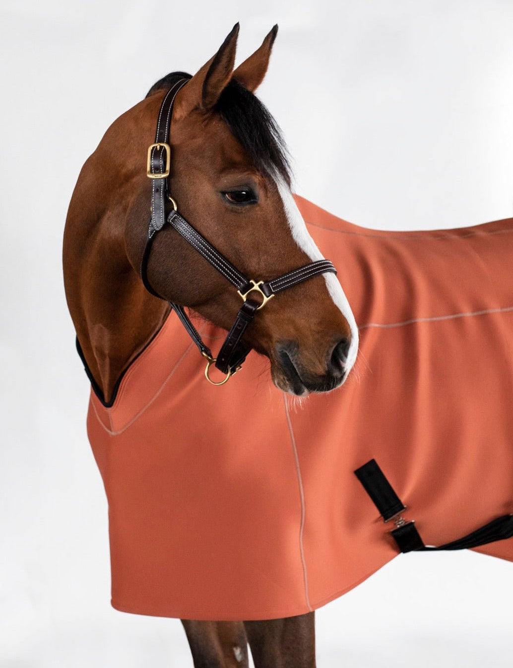Anatomeq Fit Blanket 2.0 - All Season 5 in 1 Blanket - Anatomeq - Equiluxe Tack