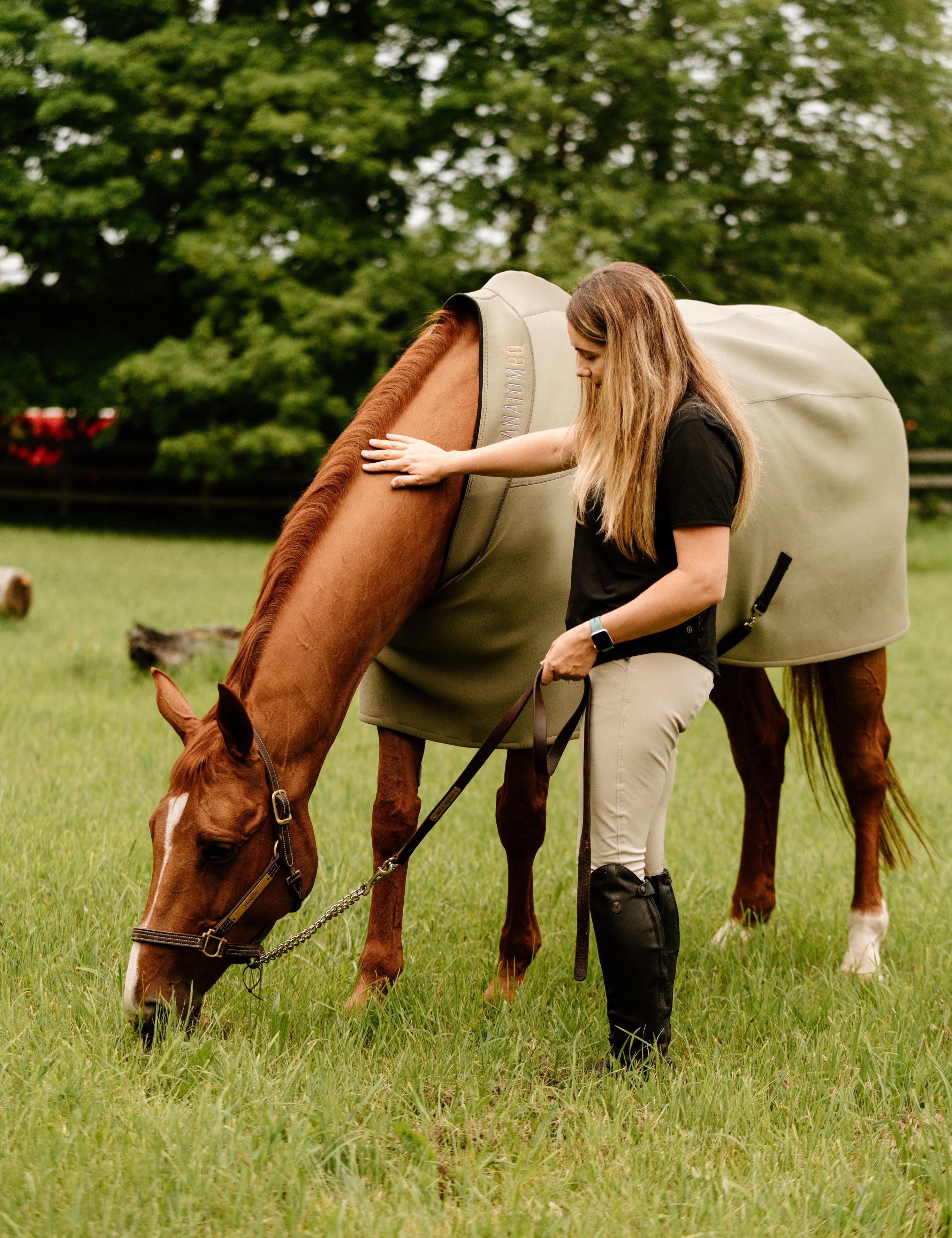 Anatomeq Fit Blanket 2.0 - All Season 5 in 1 Blanket - Anatomeq - Equiluxe Tack
