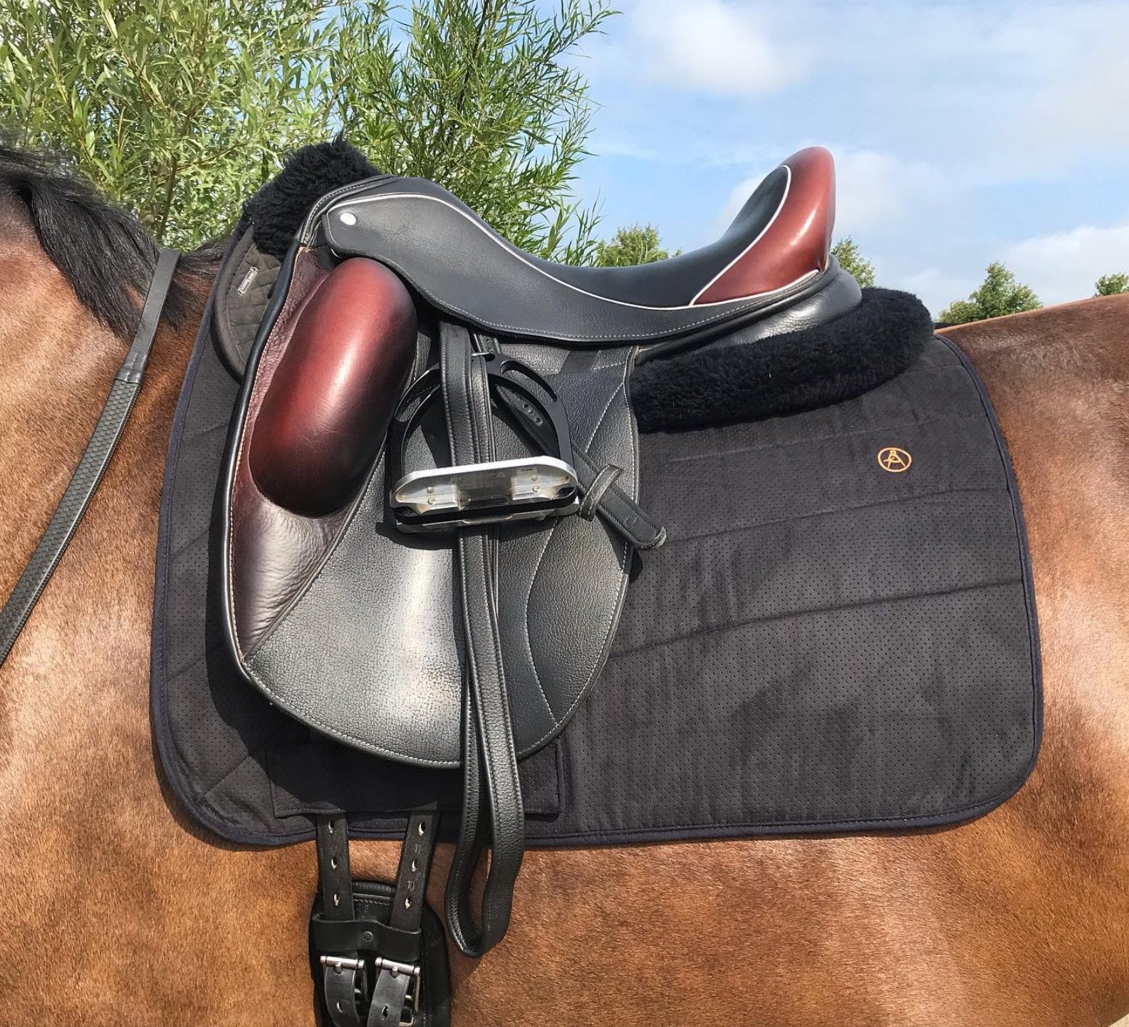 Anatomeq Perfeq Dressage Pad - Ultra Breathable Perforation - Anatomeq - Equiluxe Tack
