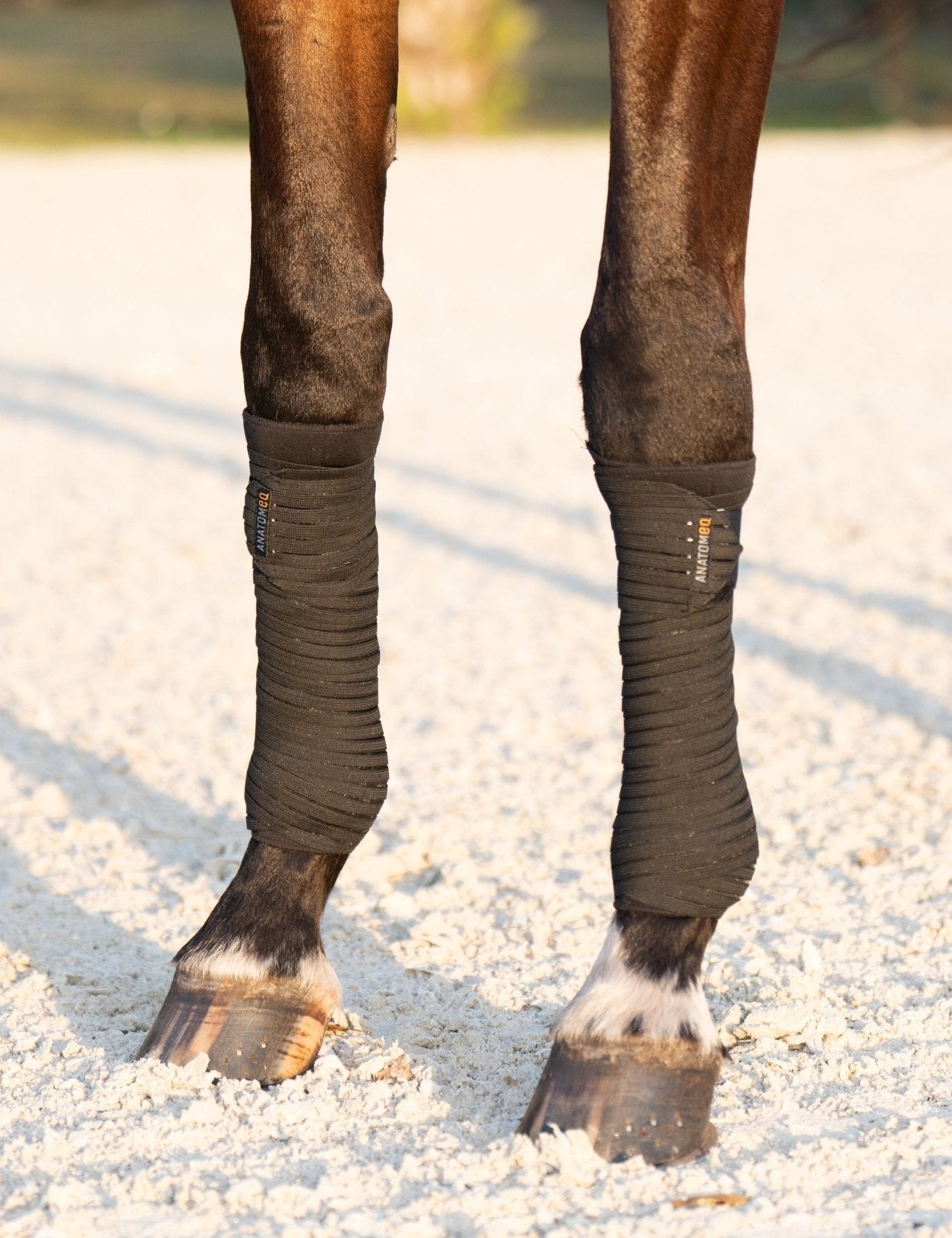 Anatomeq PoloPillows Bandage Liners - Breathable & Dirt Resistant - Anatomeq - Equiluxe Tack