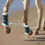 Baby Blue Brushing Boots - Equiluxe Tack