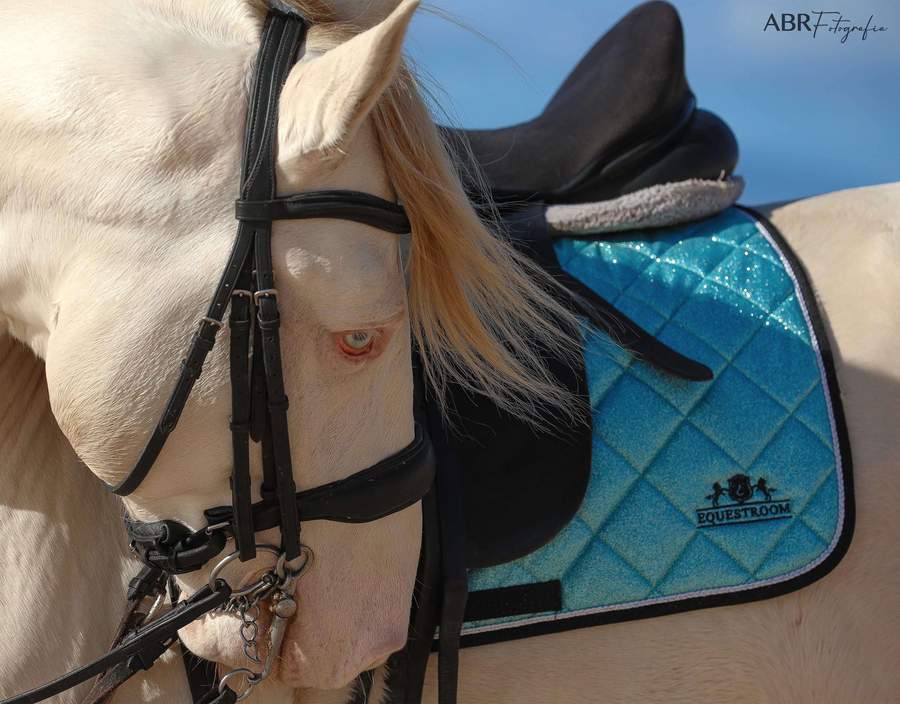 Baby Blue Saddle Pad - Equiluxe Tack