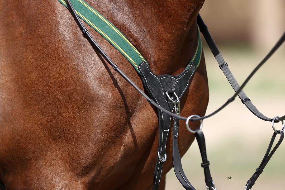 Balmoral 3 Point Comfort Padded Breastplate Green Elastic - Equiluxe Tack
