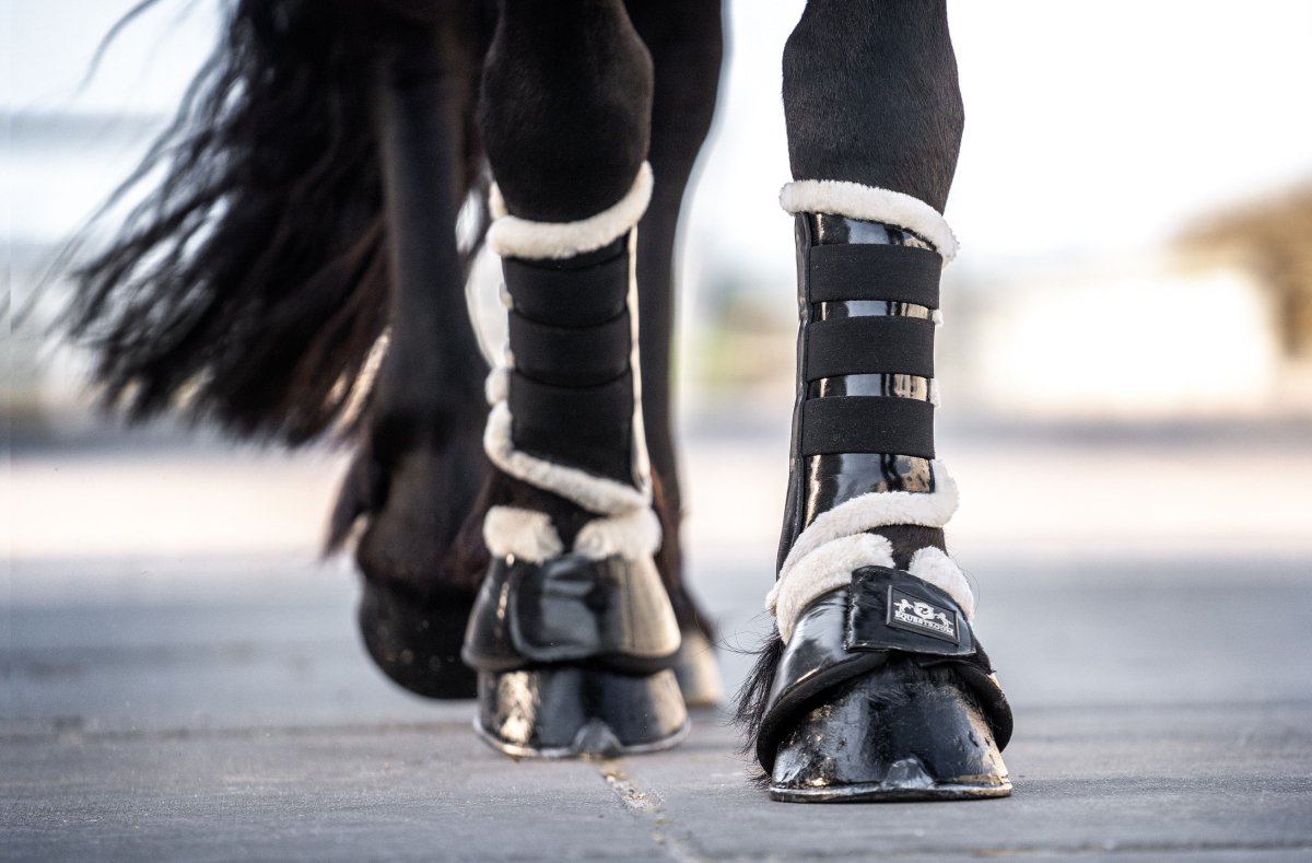 Black Ink Brushing Boots (Limited Edition) - Equiluxe Tack