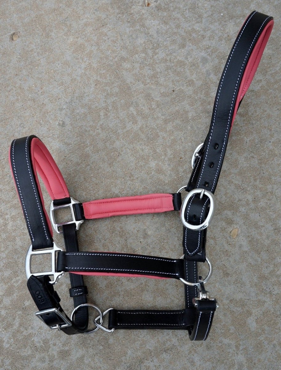 Black Leather Color Padding Halters - Equiluxe Tack
