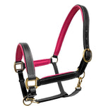 Brass Hardware Pink Padding Leather Halter - Equiluxe Tack