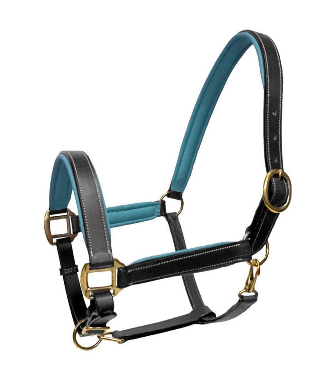 Brass Hardware Teal Padding Leather Halter - Equiluxe Tack