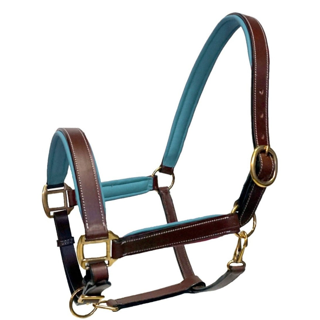 Brass Hardware Teal Padding Leather Halter - Equiluxe Tack
