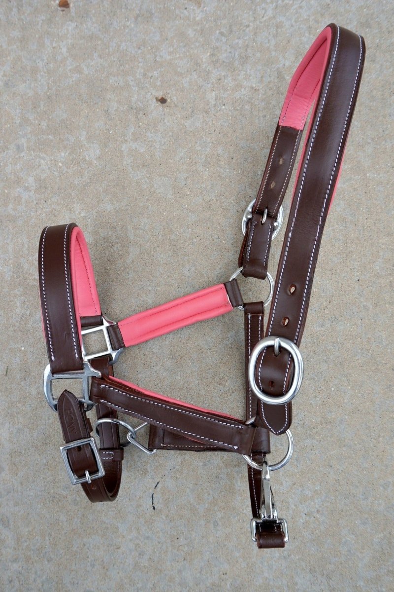 Brown Leather Color Padding Halters - Equiluxe Tack
